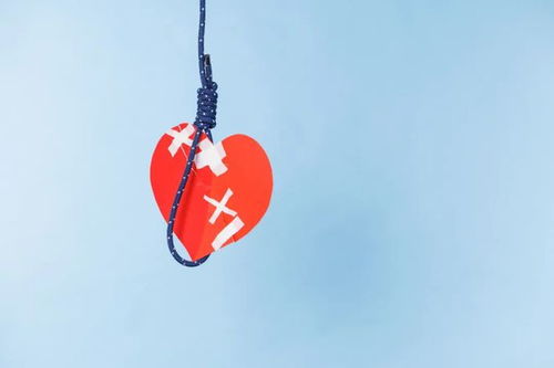 跨国婚介一条龙，婚后生活竟是这样——今晚九点半 婚姻介绍服务揭秘