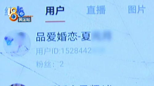 男子不满相亲服务只推微信，言语过激引发的婚介纠纷与法律边界